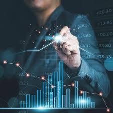 Risk and Credit Analysis Consultation